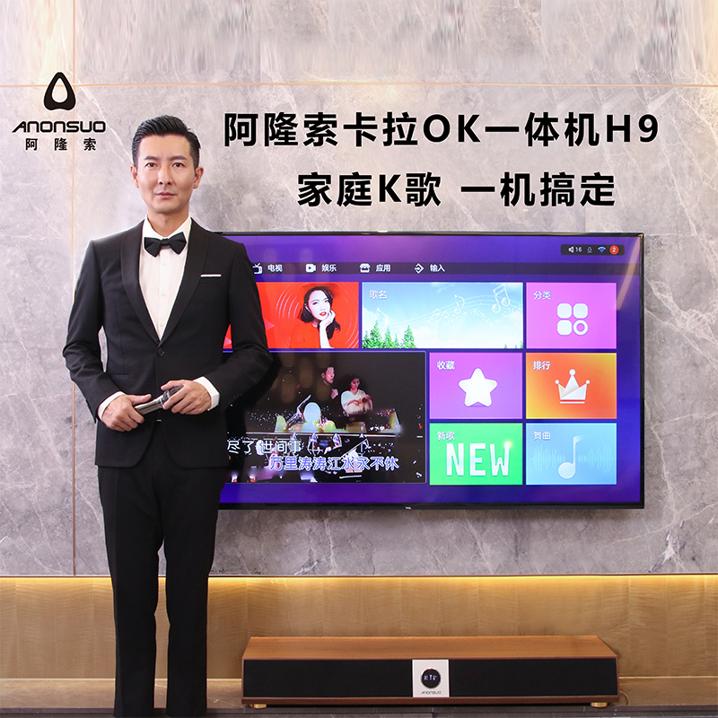 阿隆索KTV音響套裝H9 阿隆索KTV音響套裝H9